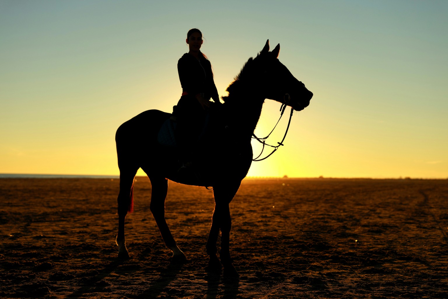 Horse and rider silhouetted against a golden sky